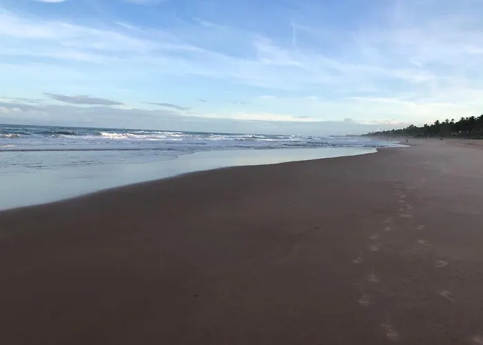 Incrivel Apartamento Com Vista Lago!